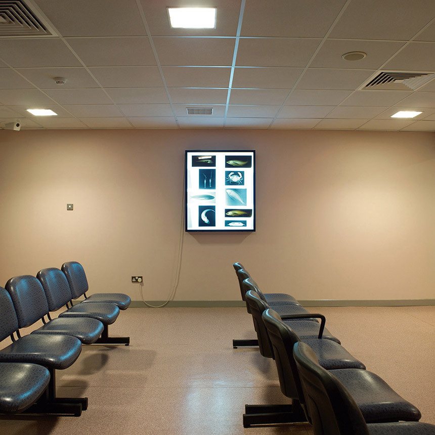 Royal Victoria Hospital, Röntgenabteilung, Wartezimmer