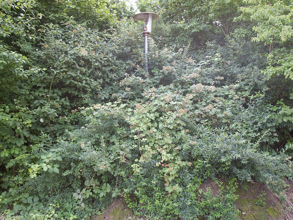 Friedrichshafen, industrial fallow